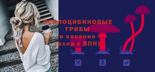 молекула духа Козельск