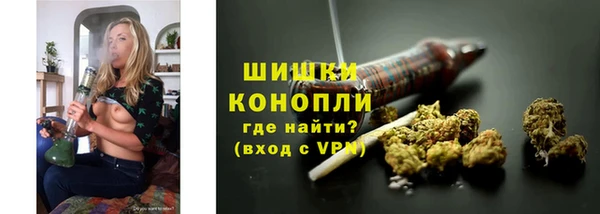 молекула духа Козельск