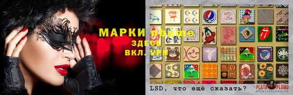 гидропоника Кодинск