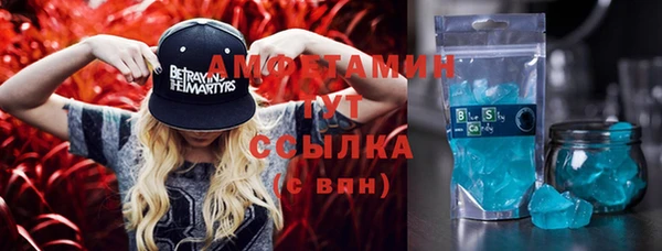молекула духа Козельск