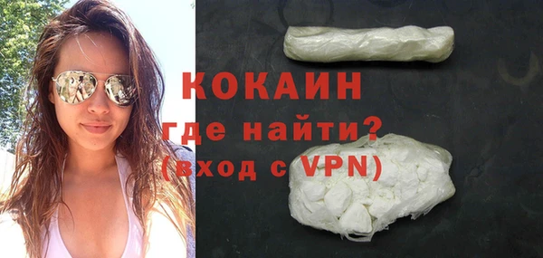 молекула духа Козельск