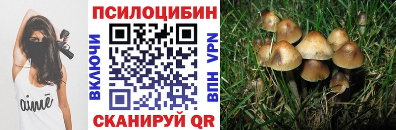 Галлюциногенные грибы Magic Shrooms  Купить  Ульяновск 